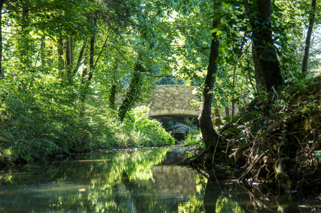 SONY DSC This image is by Forest Creek Village.