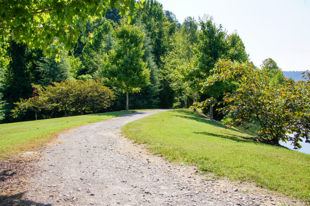 SONY DSC This image is by Forest Creek Village.