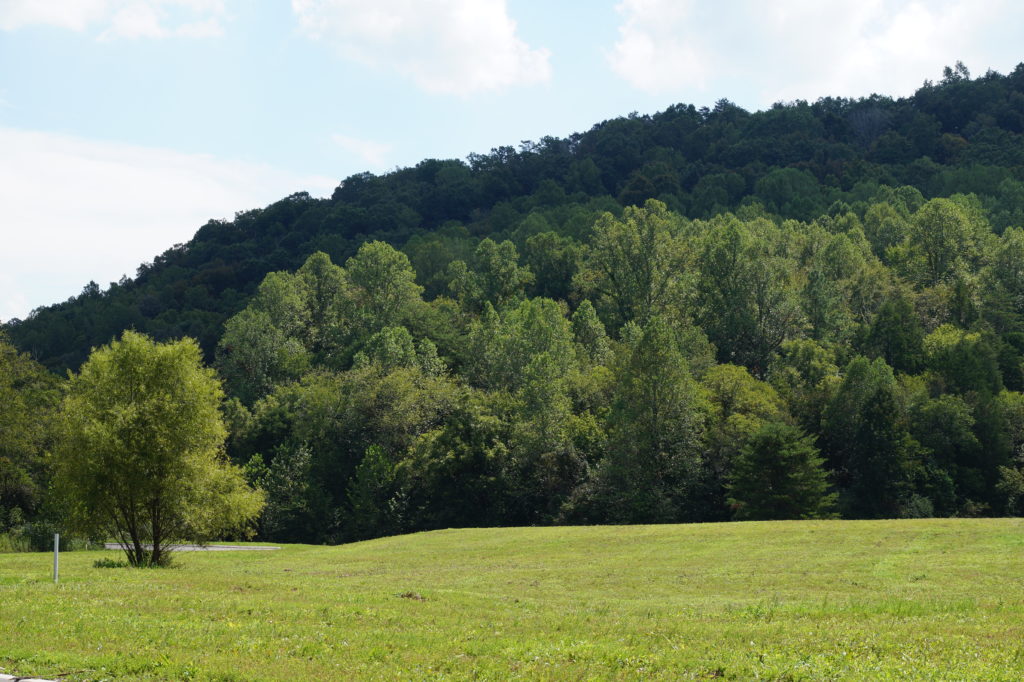 FCV- General -81 This image is by Forest Creek Village.